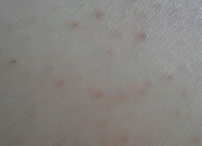 20170328_131329.jpg