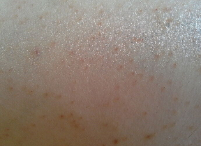 20170328_130908.jpg
