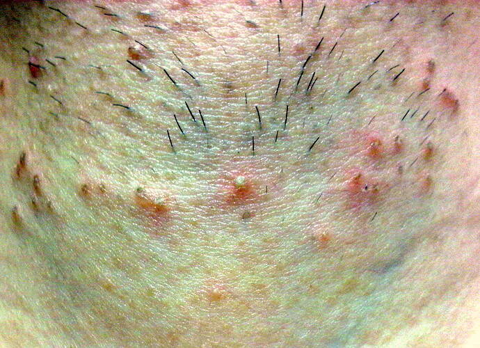 IMG01794-20120215-1725.jpg