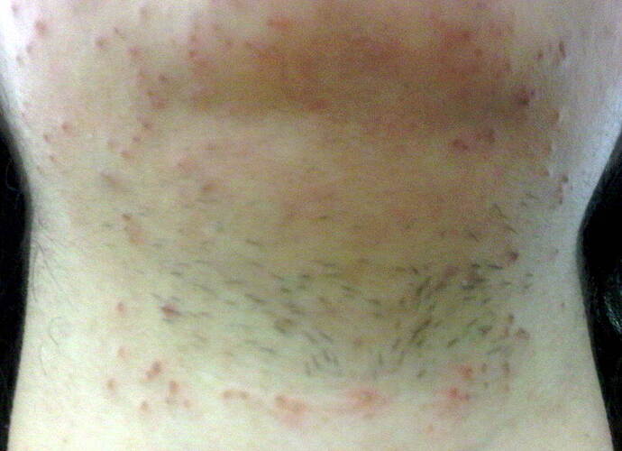 IMG01792-20120215-1724.jpg
