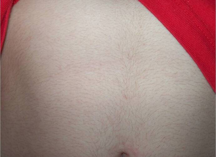 Stomach_2.jpg