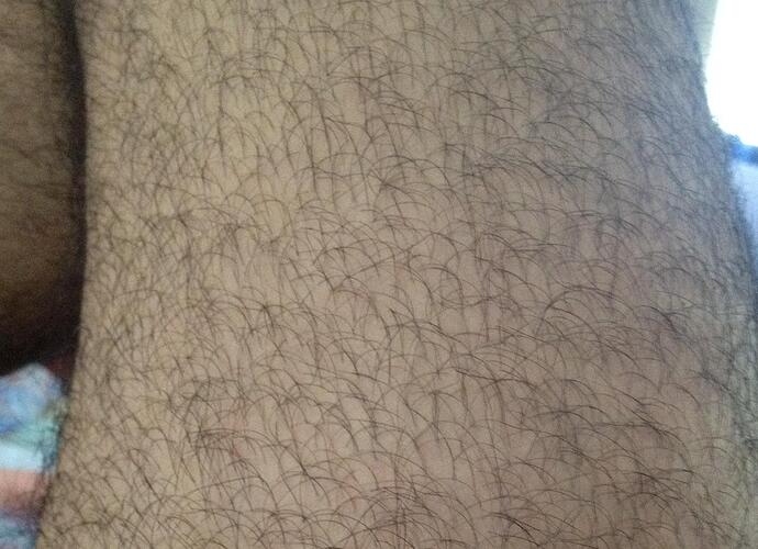 Legs2.jpg