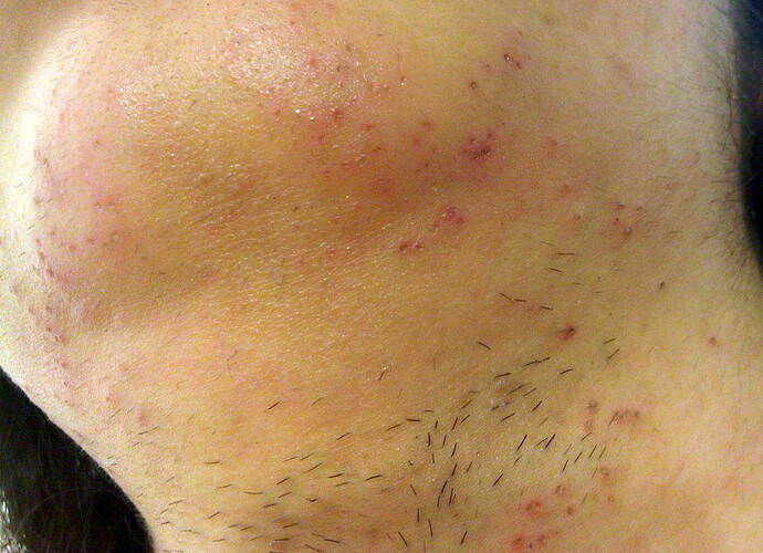 IMG01793-20120215-1724.jpg