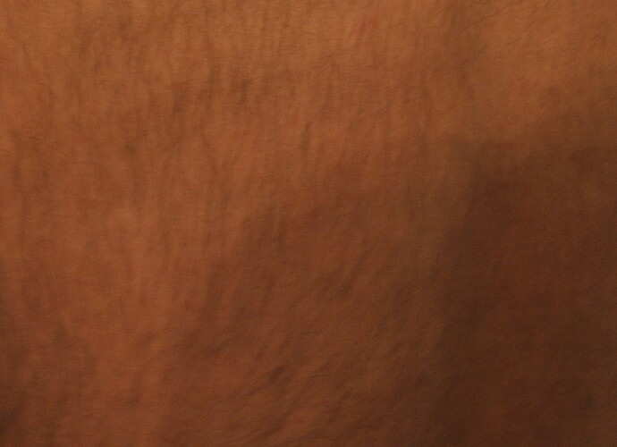 DSC_0016.JPG