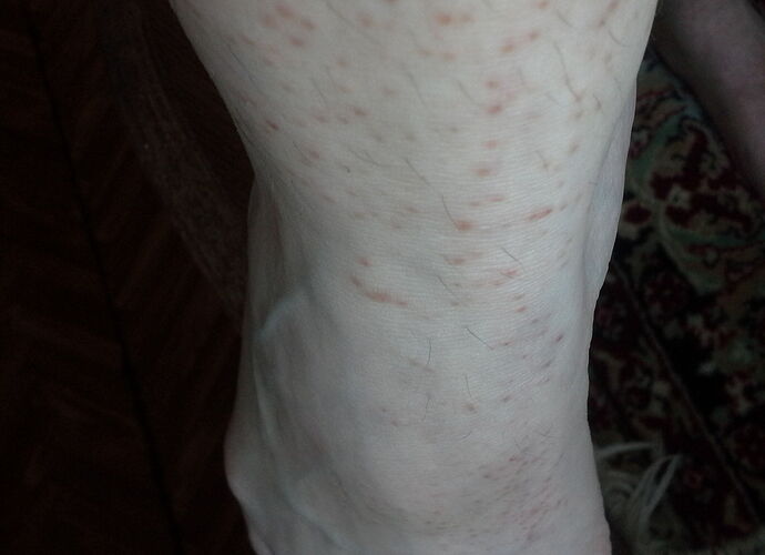 20170328_125148.jpg