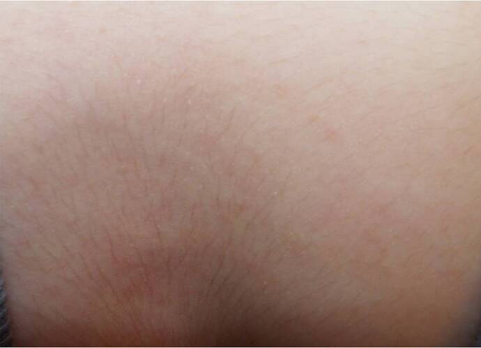 Chest_1.jpg