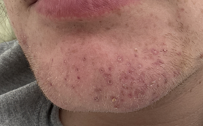 Screenshot 2026-02-01 at 3.52.04 PM